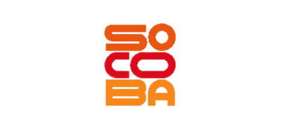 The Society For Children Orphaned By AIDS Inc.